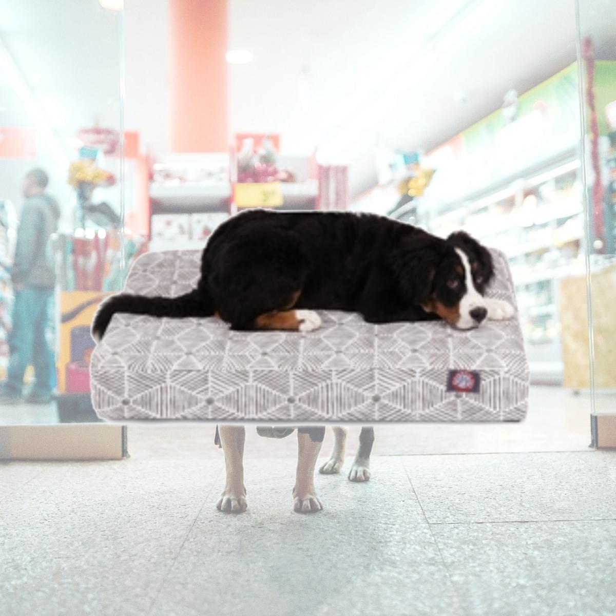Picture of Majestic Pet 78899551480 Gray Charlie Medium Orthopedic Memory Foam Rectangle Dog Bed