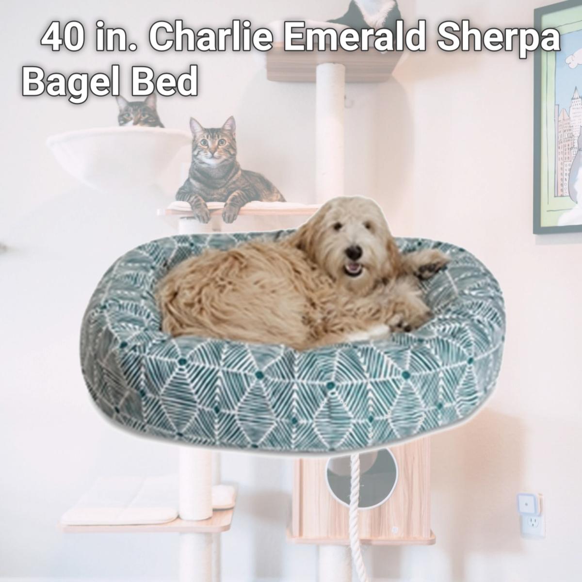 Picture of Majestic Pet 78899554470 40 in. Charlie Emerald Sherpa Bagel Bed