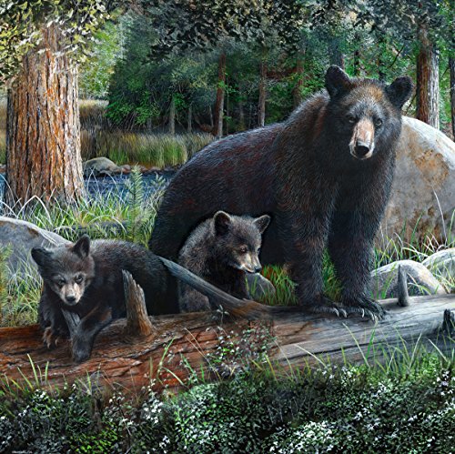 Rustic Black Bear & Cubs Shower Curtain - 0.1 x 70.75 x 70.75 in.