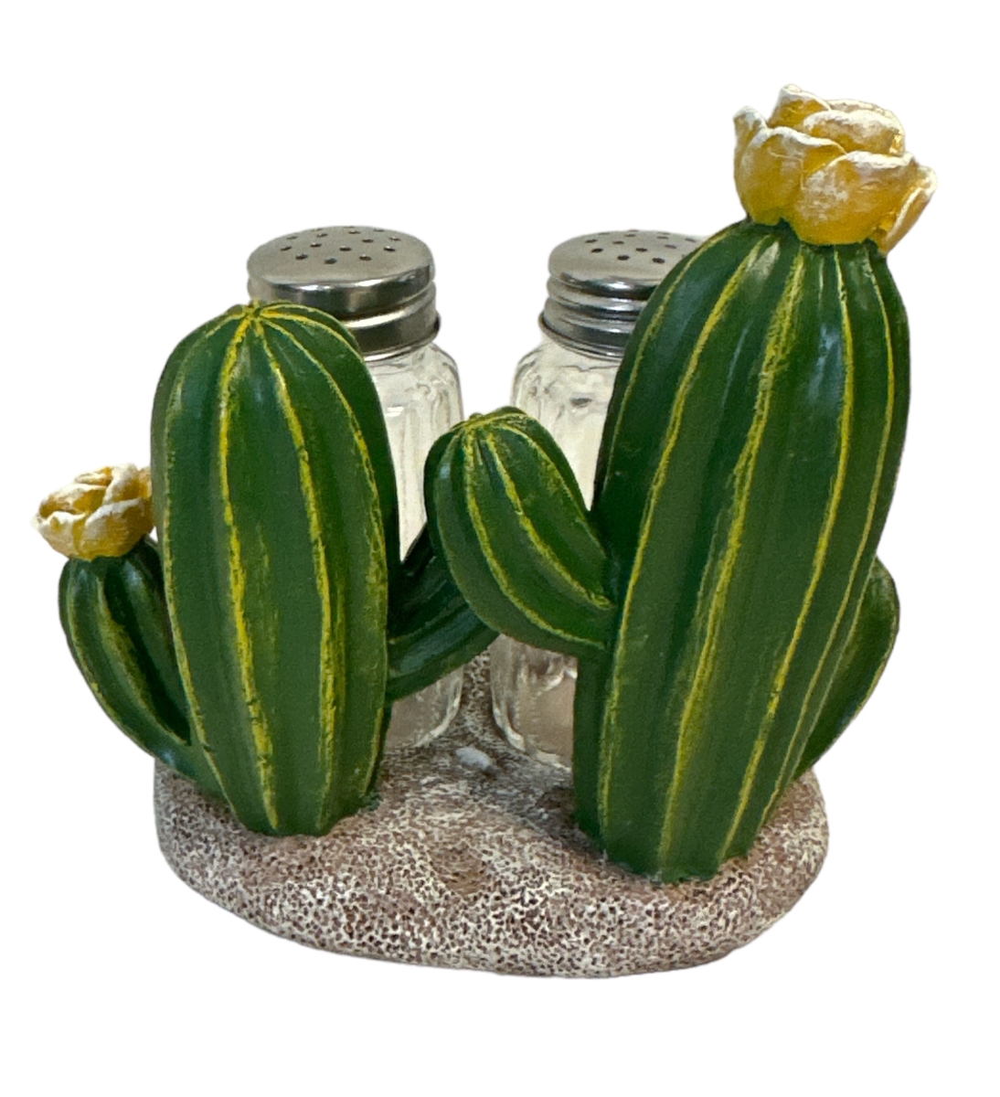 Picture of De Leon Collections 14816 Polyresin Southwestern Desert Green Floral Cactus Country Rustic Salt and Pepper Shaker Holder Set