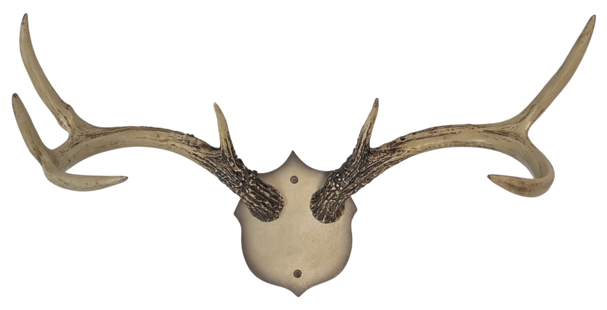 14970 Antler Wall Rack 6.5'X8.5'X6.75', 1/8/Case 'Cozy Pines Collections'