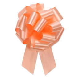 Picture of Berwick Offray 70193 5 in. Pull Bow Ribbon - Melon