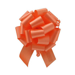 Picture of Berwick Offray 20728 4 in. Pull Bow Ribbon - Orange