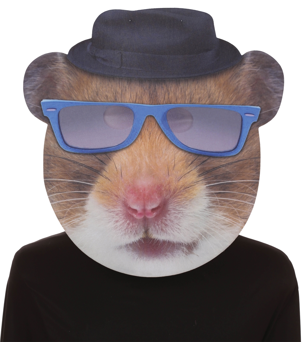 Picture of Morris Costumes SE17945 Hip Hop Hamster Blues Glasses Costume