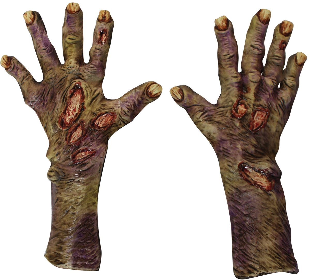 Picture of Morris Costume TB25319 Zombie Rotted Latex Glove, Large
