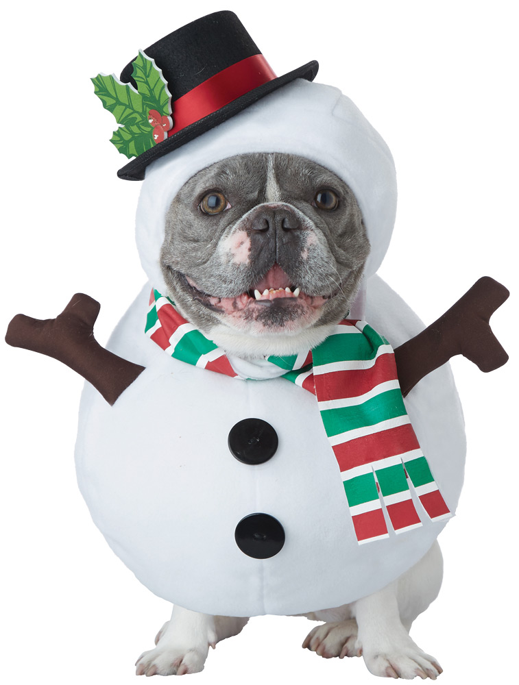 Picture of California Costumes CC20154MD Snowman Dog Costume - Medium