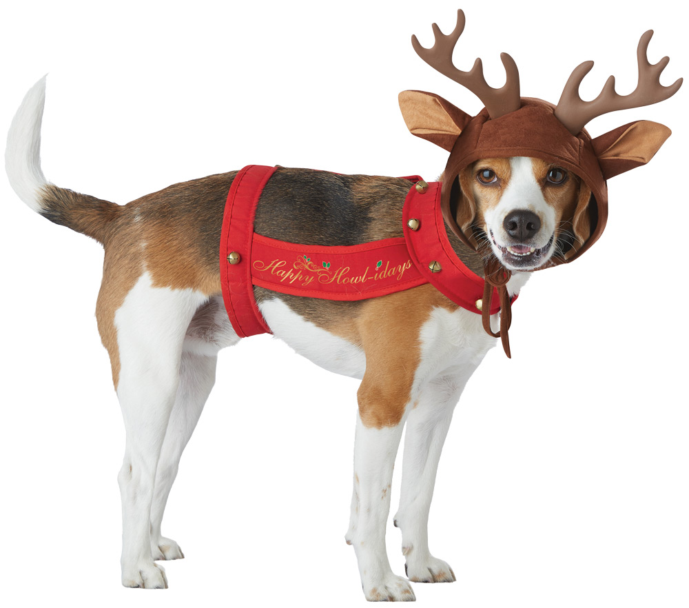 Picture of California Costumes CC20155MD Reindeer Dog Costume - Medium