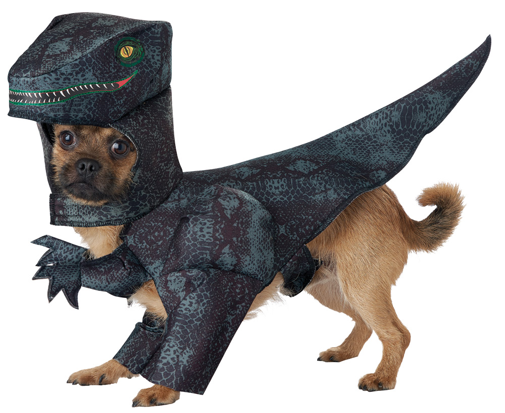 Picture of California Costumes CC20169MD Pupasaurus Rex Dog Costume - Medium