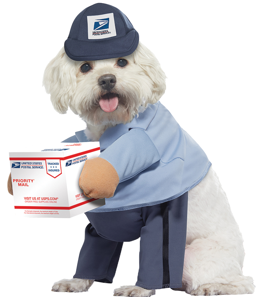 Picture of California Costumes CCPET20170LG US Mail Carrier Pet Costume - Large