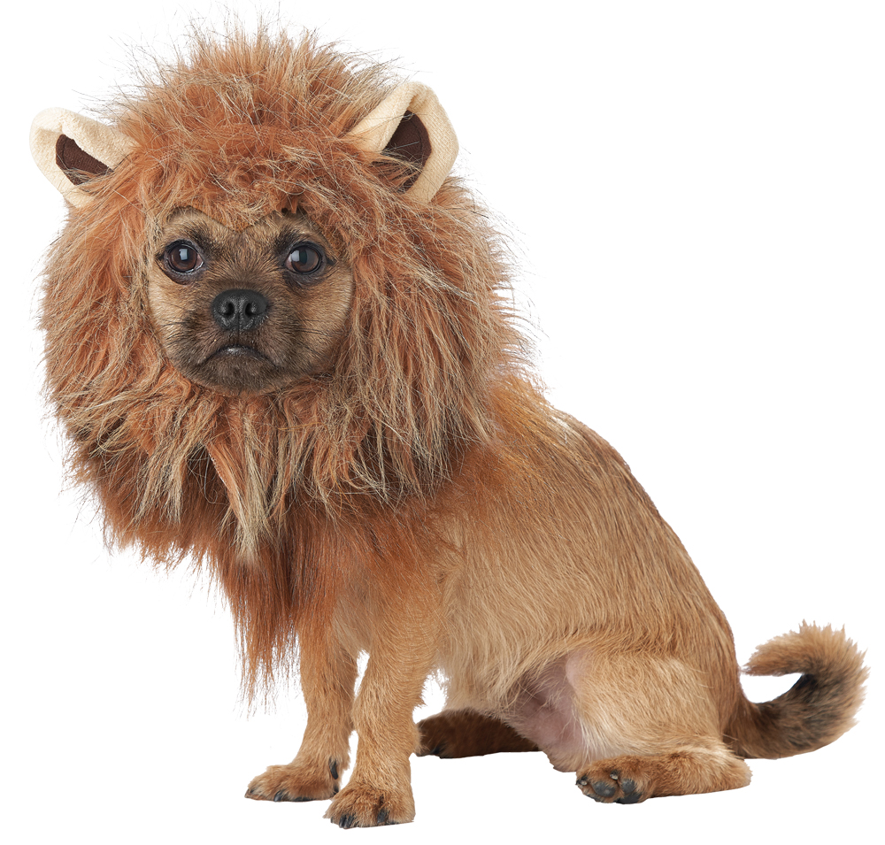 Picture of California Costumes CCPET20166LG King of Jungle Pet Costume - Large