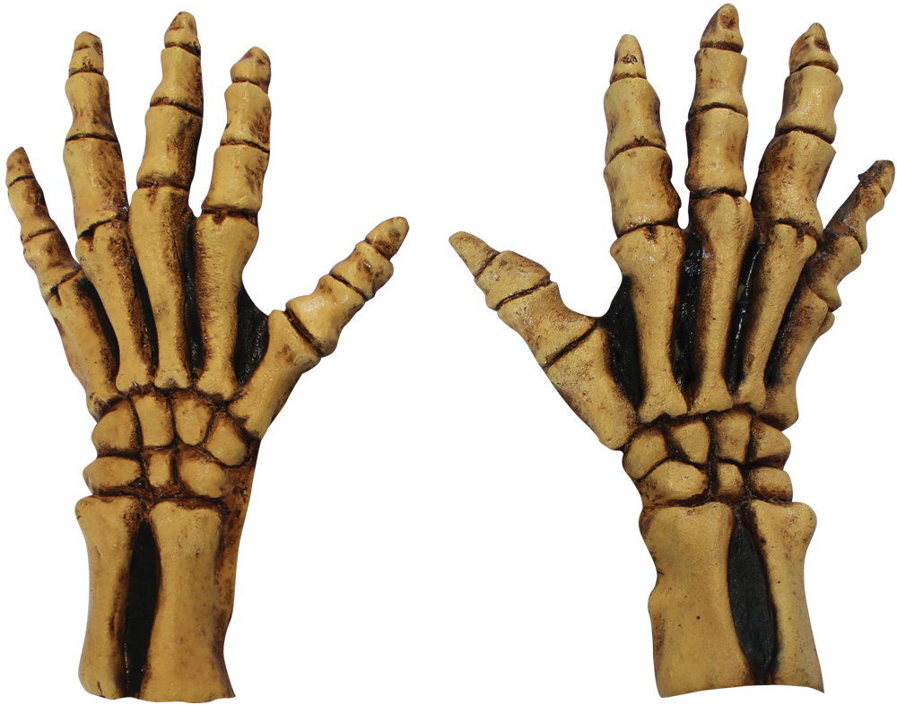 Picture of Ghoulish TB25316 Bone Color Skeleton Adult Hands