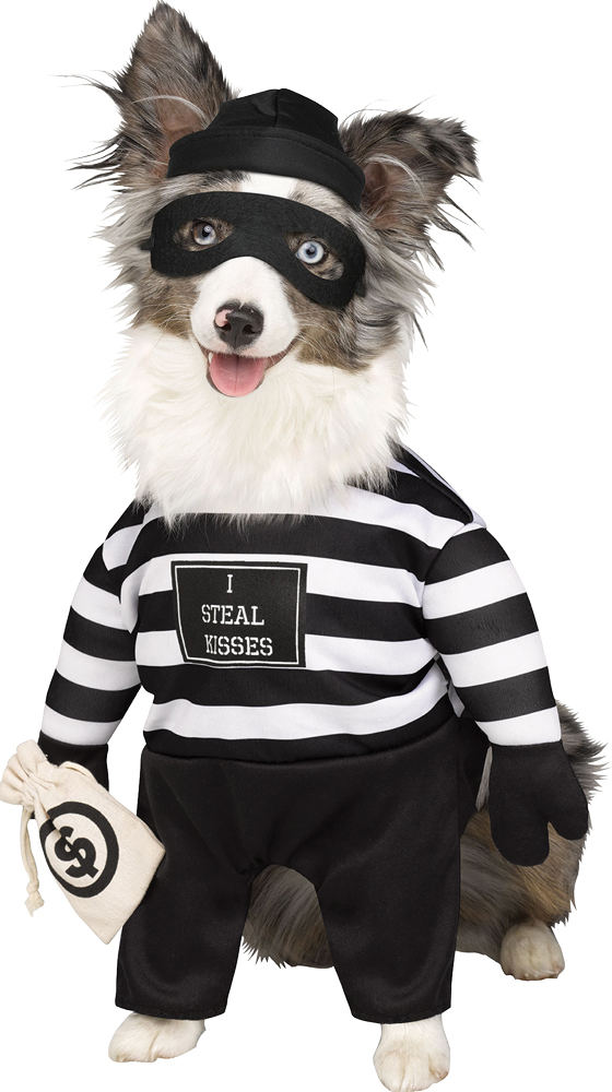 Picture of Fun World FW98054LG Robber Pup Pet Costume - Large