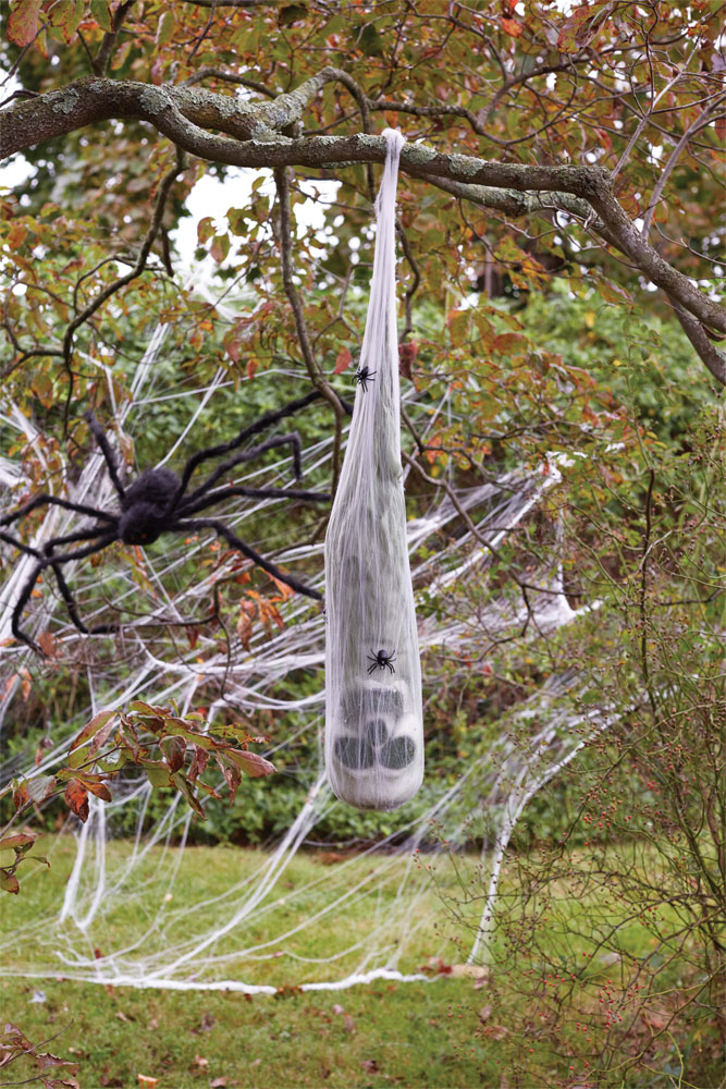 Picture of Fun World FW91073 Skull In Spider Cocoon
