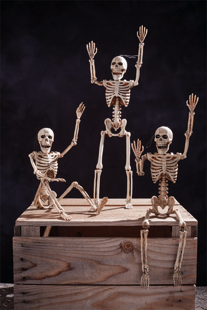 Picture of Fun World FW91481NP 14 in. Posable Skeleton