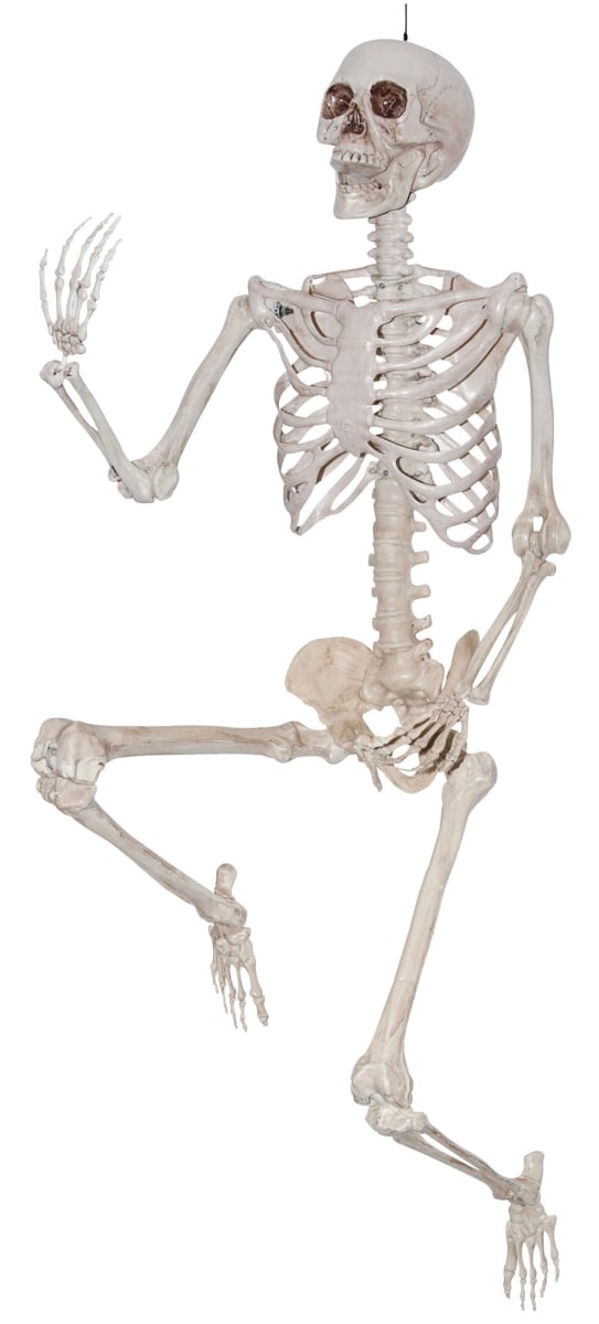 Picture of Sunstar SS47342 6.6 ft. Skeleton Titan Toy
