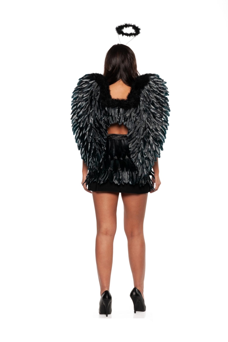 Picture of Underwraps UR30631 Feather Wings&#44; Black