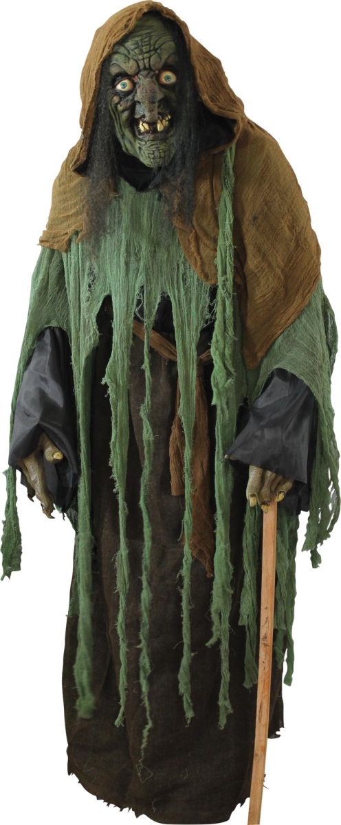 Picture of Ghoulish TB25241 Adult Witch Ghoul Costume