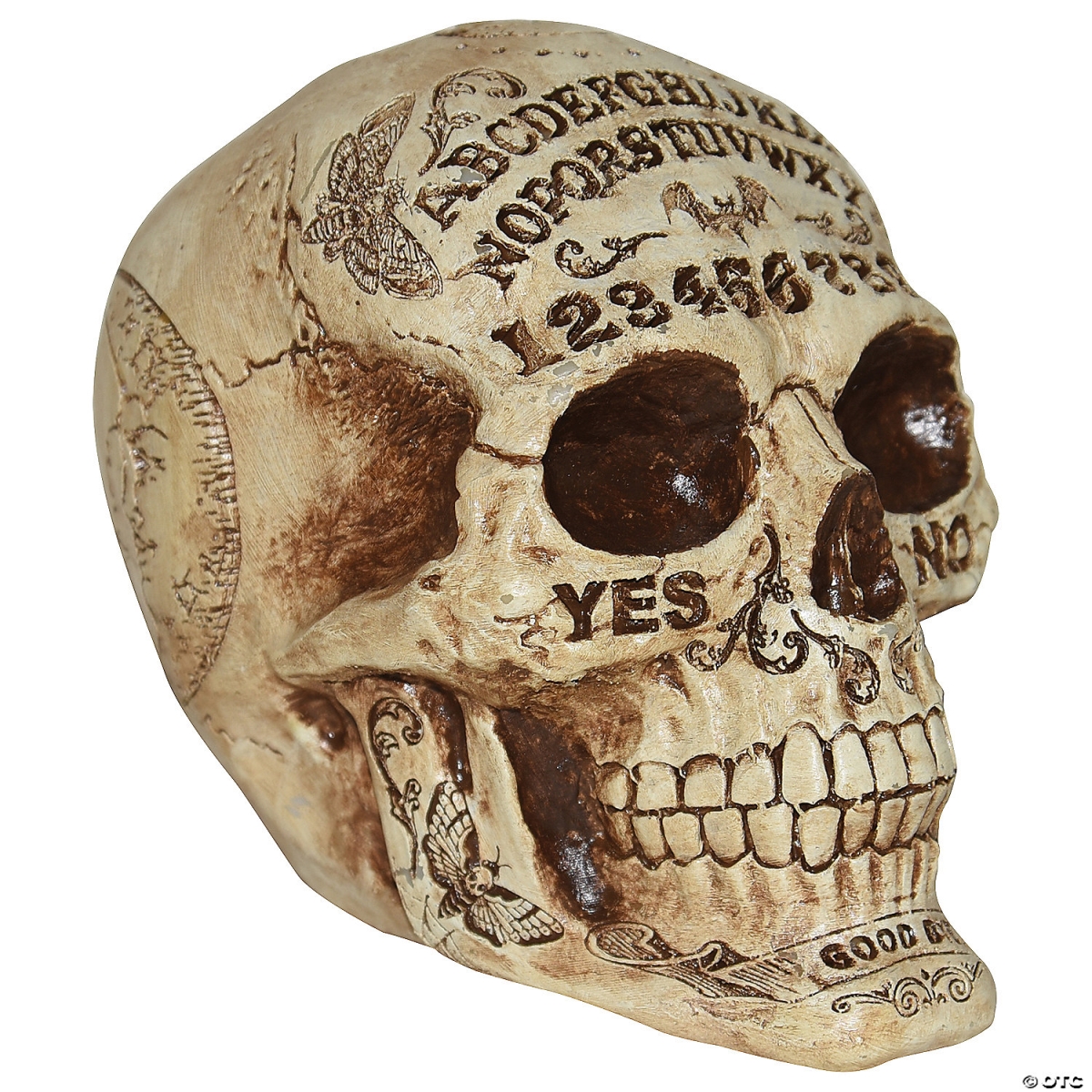 Picture of Costumes for All Occasions SS64353 7 in. Skull Fortune Telling Prop Decoration