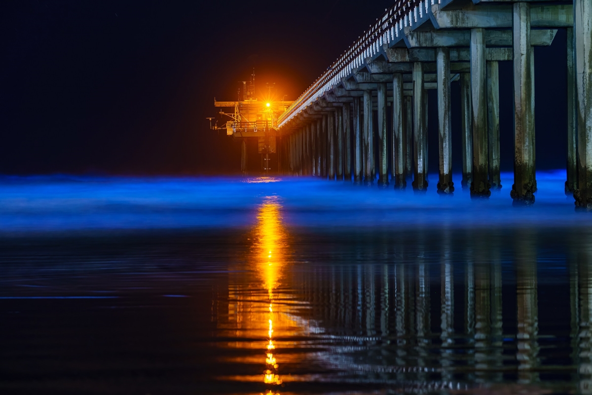 36 x 24 in. Scripps Pier, La Jolla Bio Luminescence Fine Print Wall Art