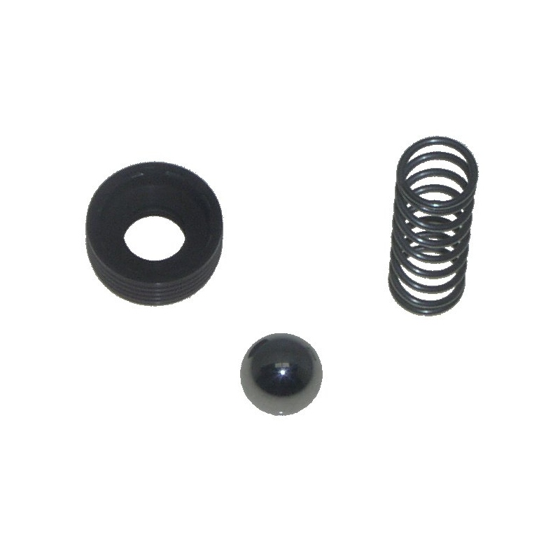 21-02382 Check Valve Kit