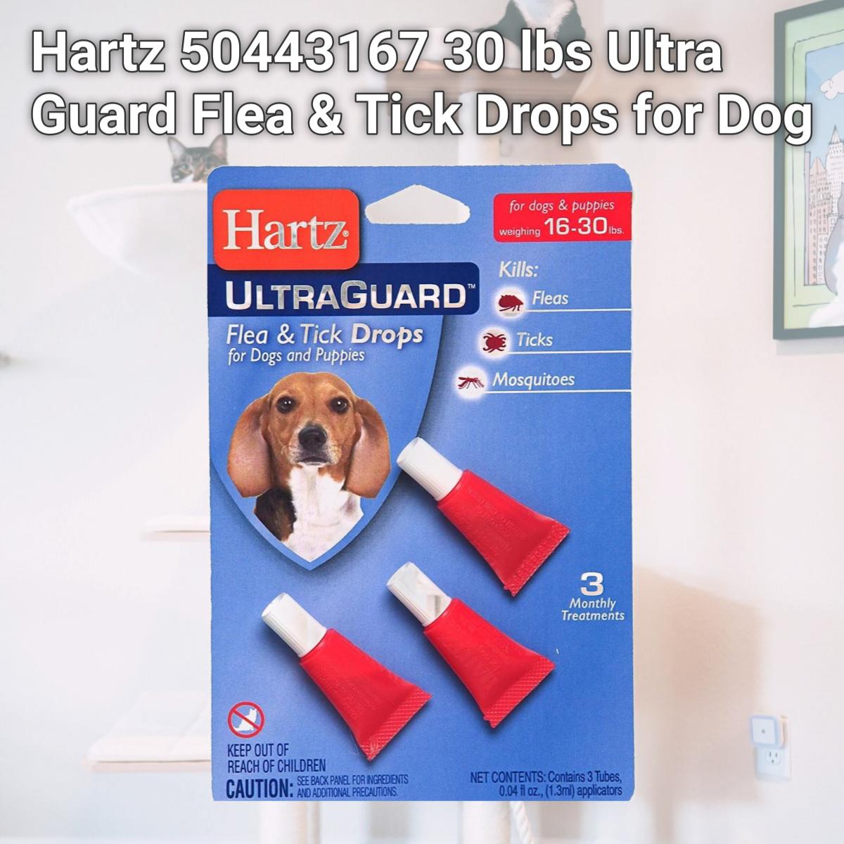 Picture of Hartz 50443167 30 lbs Ultra Guard Flea & Tick Drops for Dog