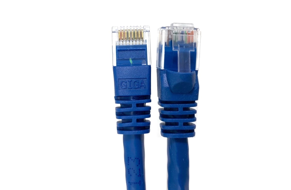 100 ft Category 6 UTP RJ45 Patch Cable44 Blue