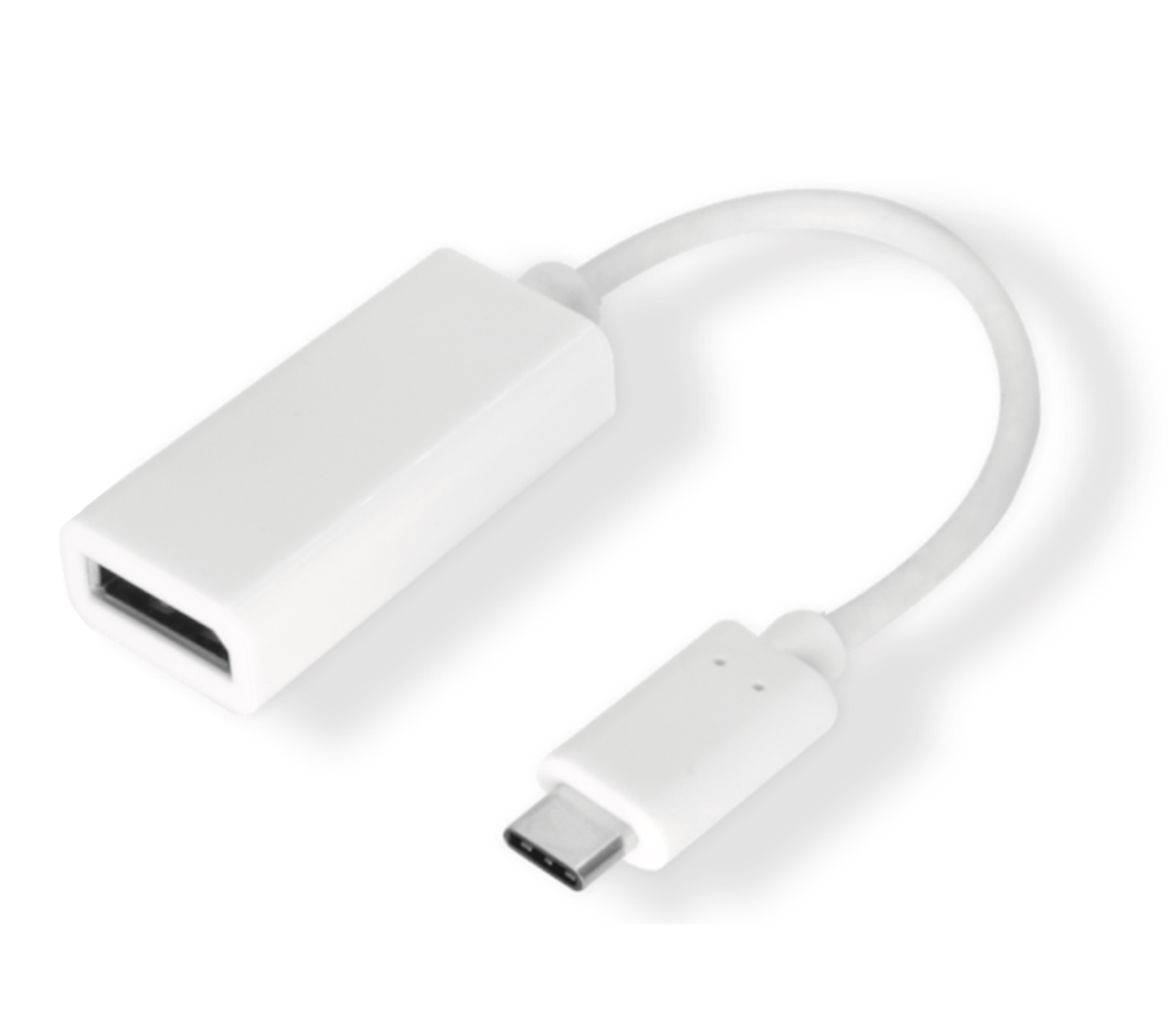 USB31-DP-9 9 in. 4K60HZ USB Type-C To Displayport Female Adapter, White