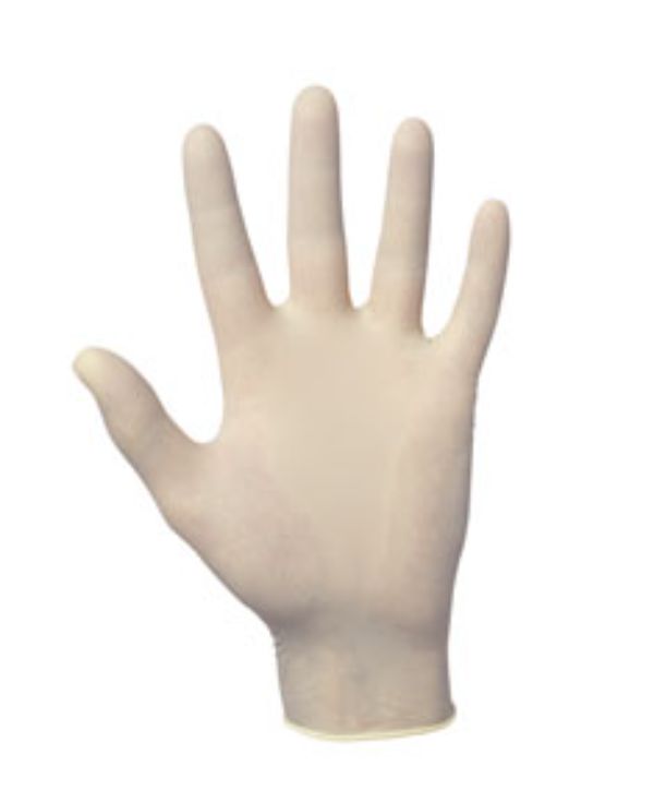 Dyna Grip Powder-Free Latex Disposable Gloves - 2XL