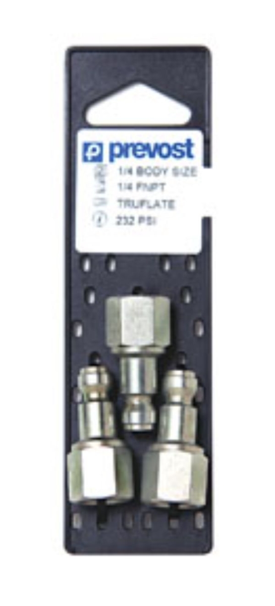 0.25 in. Female Plug