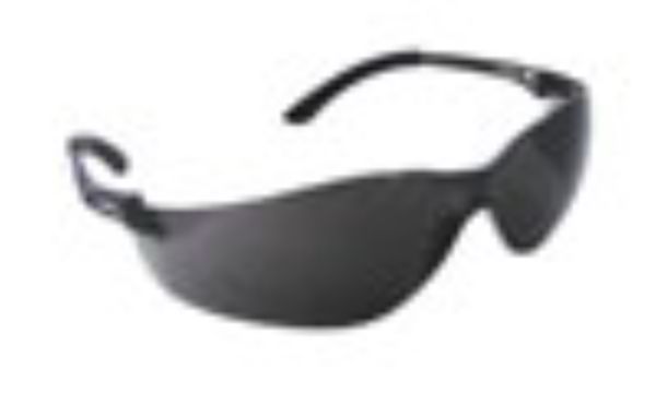 NSX Turbo Safety Glasses, Gray
