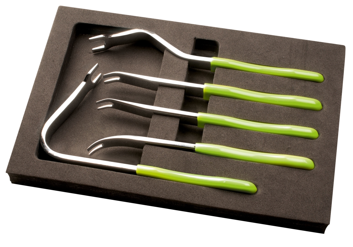Clip Lifter Set - 5 Piece