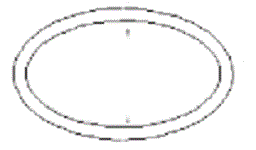 Lid Seal O-Ring