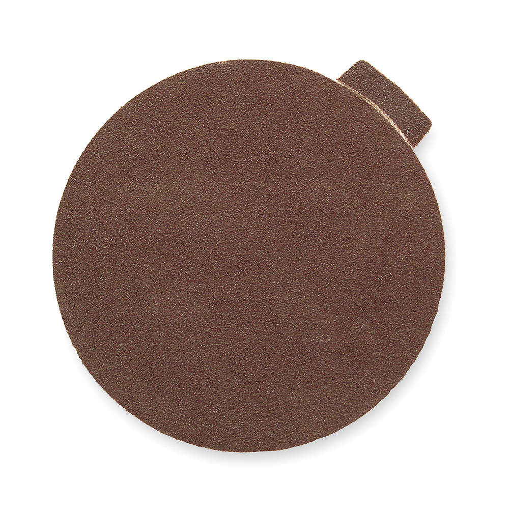 12 in. Sanding Disc 80 Grit Psaleach