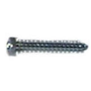 Dent Pull Replacement Screw Tip