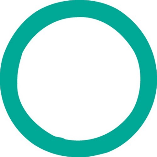 No.of 10 Metric O Ring for Ford Spring Lock Coupler