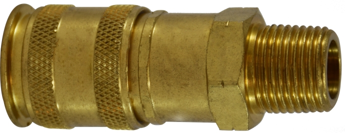28579 0.25 in. NPTF Male Univesre Brass Coupler