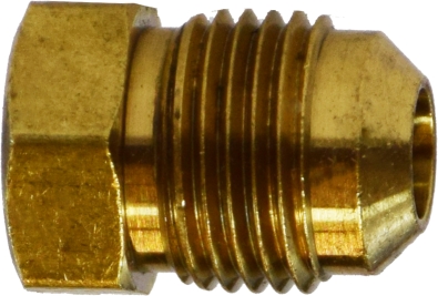 10069 0.75 in. SAE Flare Plug