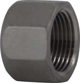 63081 1.25 in. 316 Stainles Steel Hex Cap