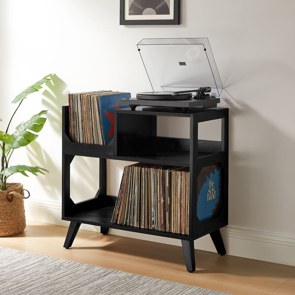 CF1147-BK Asheville Record Storage Console, Black - Medium