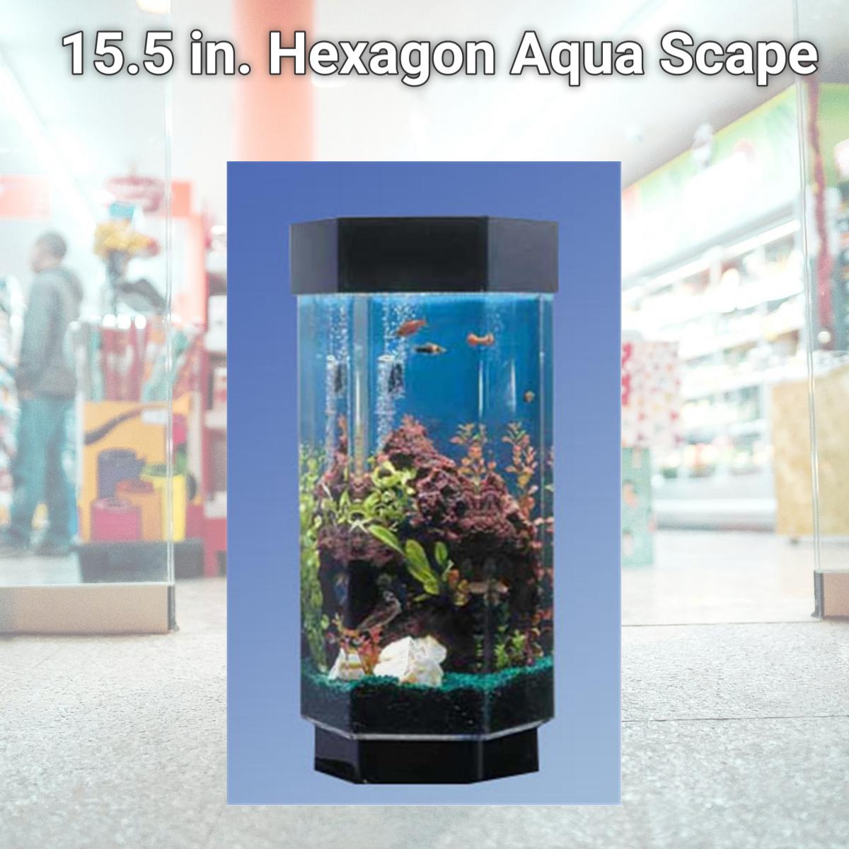 Picture of Midwest Tropical TT-1500 15.5 in. Hexagon Aqua Scape