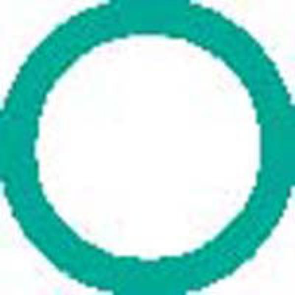 FJ4043 Suction & Discharge Port O-Ring