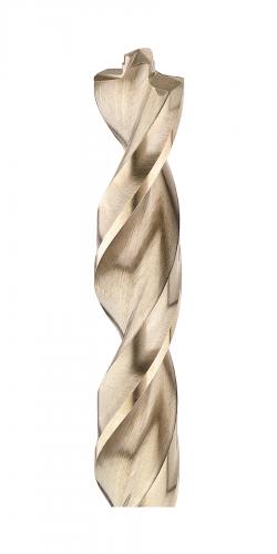 DW1932B 0.5 in. Pilot Point Drill Bit