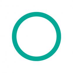 Replacement O-Ring - Black - Standard Size - Durable Material