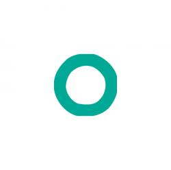 FJ4206 Replacement O-Ring