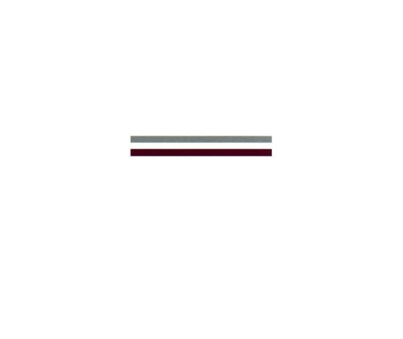 AN10323108 0.31 in. x 50 ft. Double Stripes Tape - White Pearl