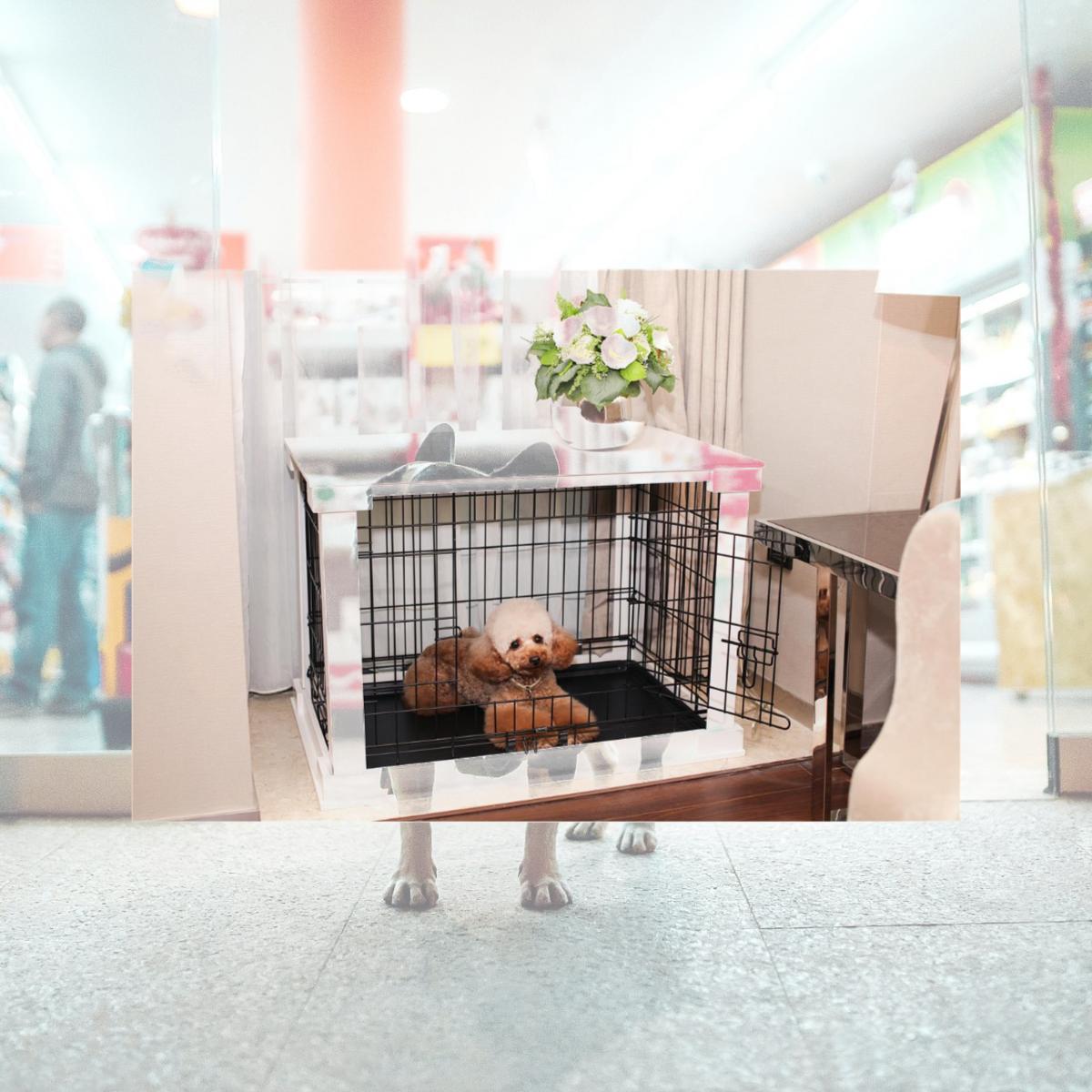 Picture of Merry Products PTH0231720100 Cage with Crate Cover- White - Small