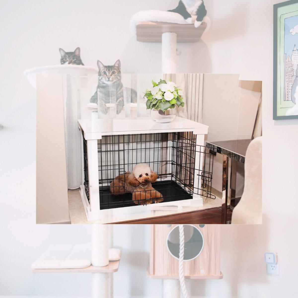 Picture of Merry Products PTH0251720100 Cage with Crate Cover- White - Large
