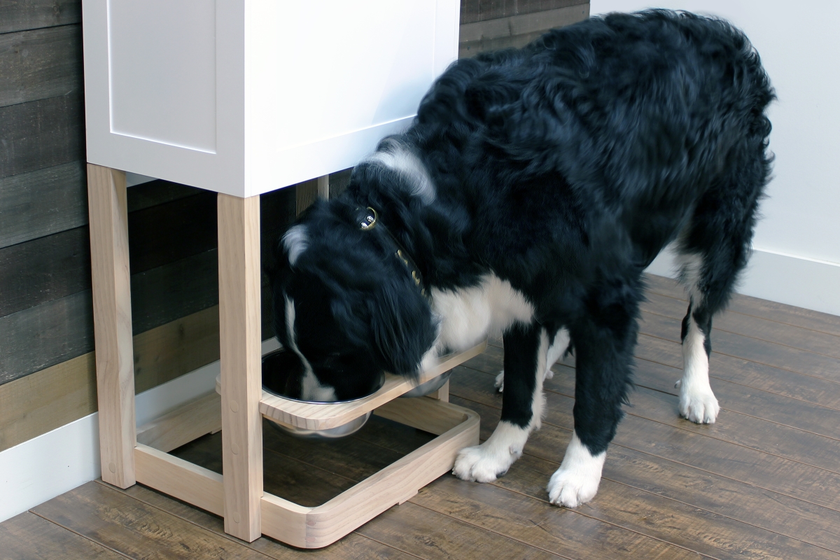 Picture of zoovilla PTF0093920110 Parlor Pet Feeder Station&#44; White