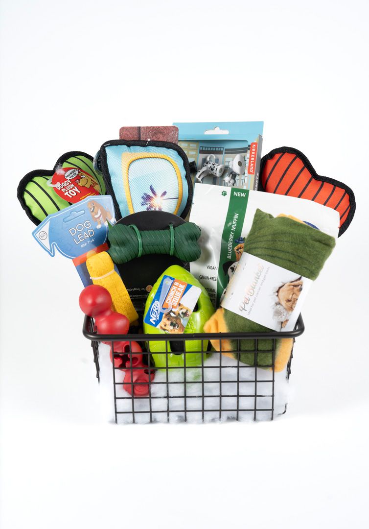 Pet Basket - Pampered Pooch Dog Gift Basket