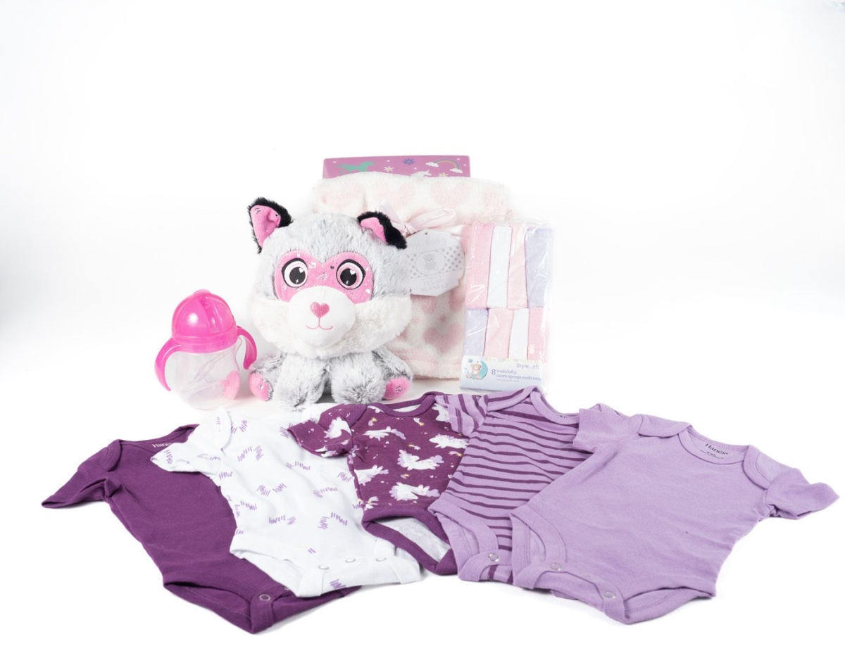 Picture of Baby Girl Gift Basket by OhioBasketChic - Delight Expectant Parents with a Thoughtful Baby Basket